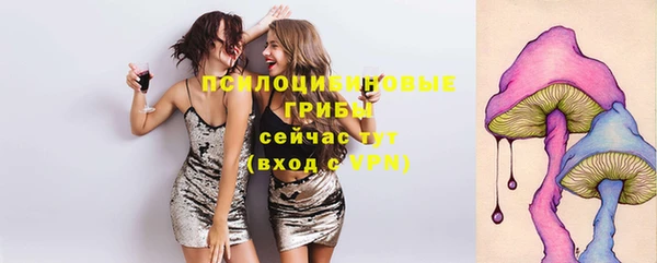 гидропоника Бронницы