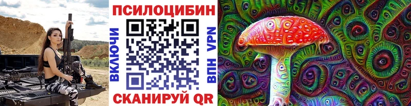 закладка  Невьянск  Псилоцибиновые грибы Cubensis 